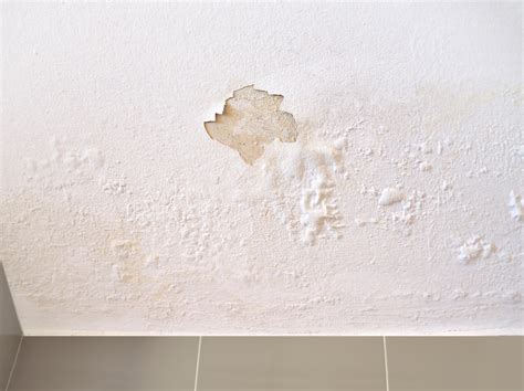 water damaged drywall|How To Spot & Repair Water